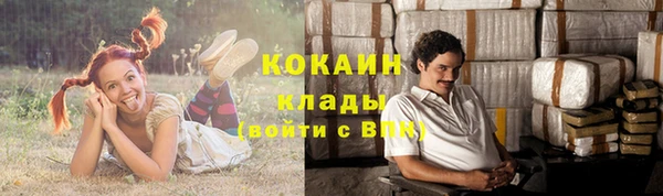 твердый Арсеньев