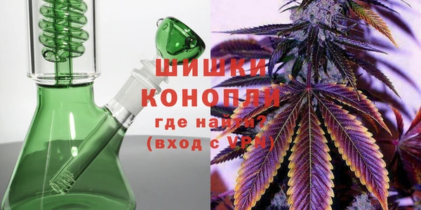твердый Арсеньев