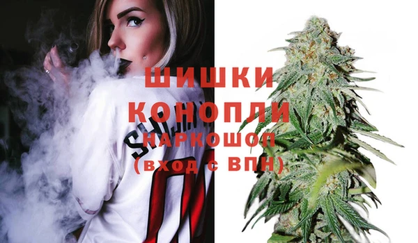 твердый Арсеньев