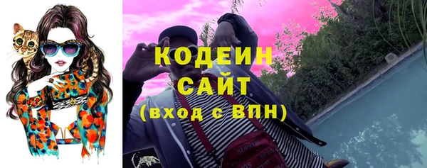 индика Апатиты