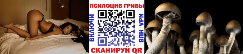 нарко площадка клад Удачный Псилоцибиновые грибы мицелий